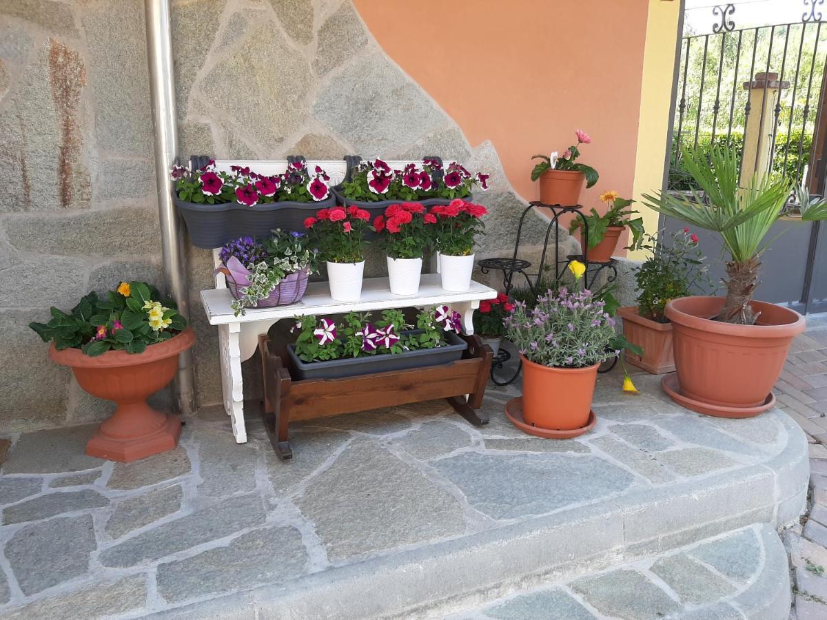 B&B Villa S. Anna Arquata Scrivia Exteriör bild
