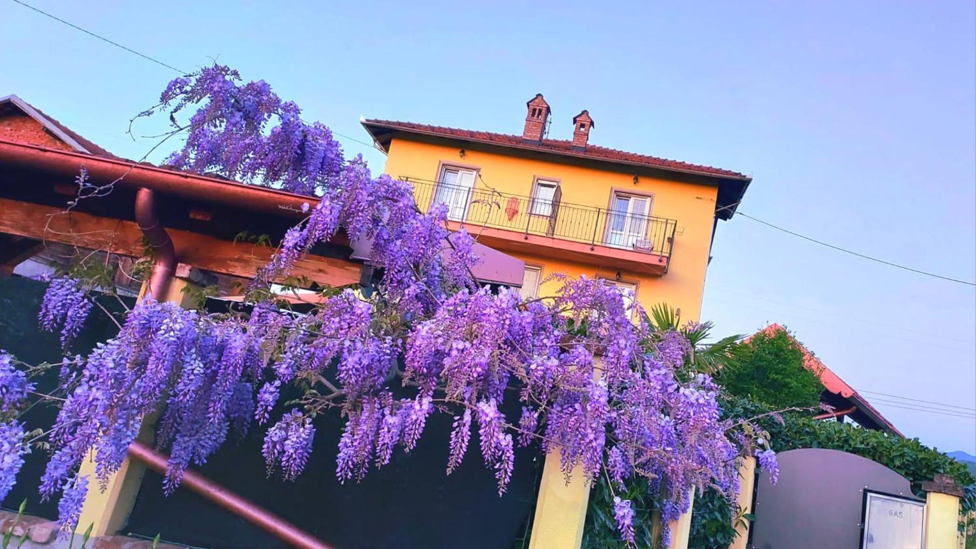 B&B Villa S. Anna Arquata Scrivia Exteriör bild